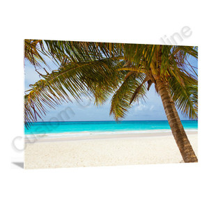 Products: Acrylic Prints