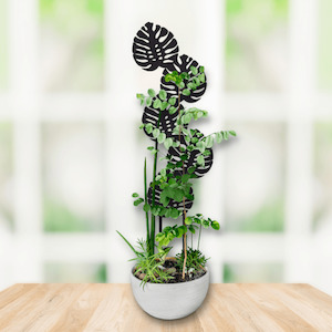 monstera plant trellis