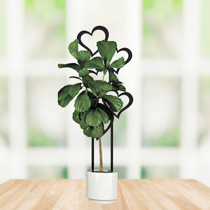 hearts plant trellis