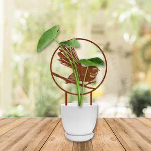 fantail plant trellis