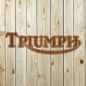 triumph logo - aluminium