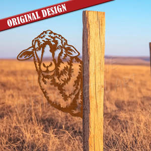 Animals And Insects: peek a boo sheep