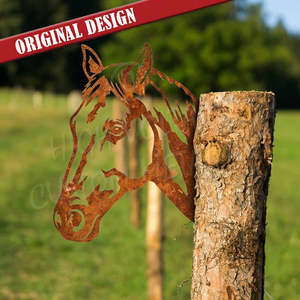 Animals And Insects: peek a boo horse