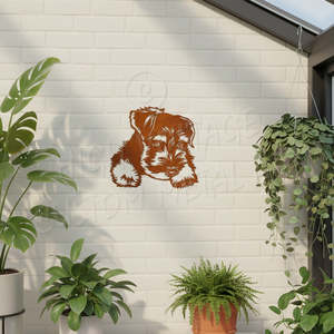 Animals And Insects: schnauzer pup