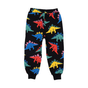 Pants Boy: Rock Your Kid Dino Time Track Pants