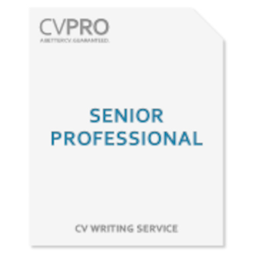 Senior Professional - CV Writing Service