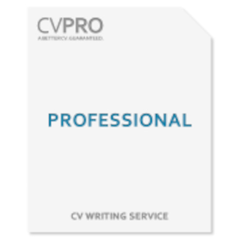 Professional - CV Writing Service