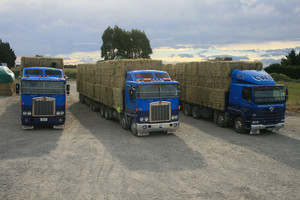 Products: Medium Bales CWT