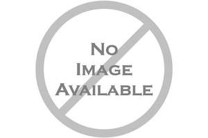 Fenwicks: Fenwicks Workshop Degreaser 600ml**