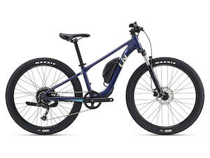 Bike Sale: Liv Tempt E+ 26 (Junior)