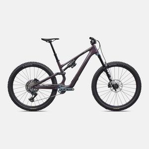 Bikes: Stumpjumper 15 EVO Expert  - SRAM GX AXS, FOX Performance Elite