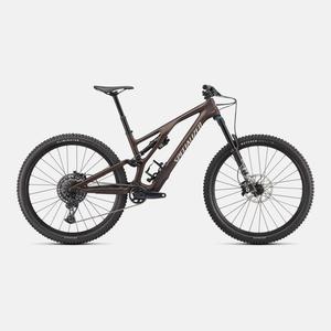 Stumpjumper EVO Comp  - SRAM GX Eagle, FOX Rhythm