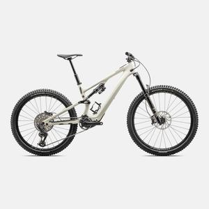 Specialized Turbo Levo: Turbo Levo SL 2 Expert Carbon