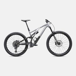 Cyber Savings: Stumpjumper EVO Elite Alloy  - SRAM GX Eagle, RockShox Ultimate