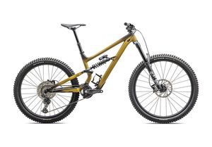 Specialized Status 2 170