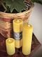 Beeswax Rolled Pillar Candle - Hexton Bee Company