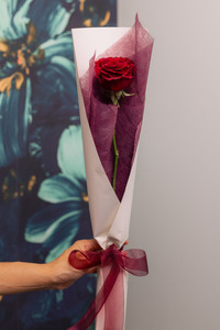 Valentines Day: Bit Of A Cupid