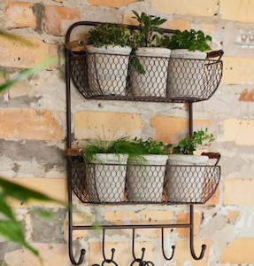 Gardening: French Country Mesh Wall Shelf with Hooks