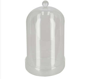Homewares: Glass bell jar with bowl 13cm