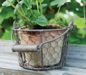 Aged terracotta pot in basket