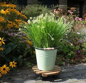Outdoor plant trolley