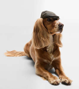 Hats: Barbour Waxed Cotton Dog Cap - Size S/M