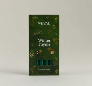 Home Fragrance: St Eval Winter Thyme Candles - Set of 6 (12.7mm width)