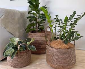 Nala planter basket set of 3