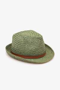 Hats: Antler Green Panama Hat