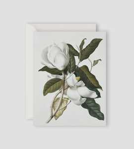 Gifts: Father Rabbit Stationery |  Gardenia Card