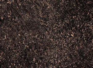 Compost Mixes: Daltons Compost (per ½ m³)