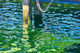 Damian Kerr, 'Blue Cod Nitrate' limited edition print Damian Kerr. Artist
