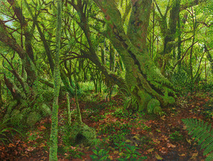 Products: Damian Kerr, 'Old School Greenies' limited edition print Damian Kerr. Artist