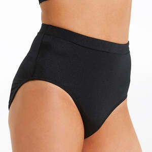Undergarments 1: Lustre High Leg Brief