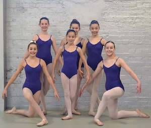 Leotards: Capezio Camisole Leotard