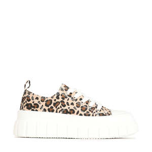 Non Leather Shoes: Los Cabos Runna - Cheetah