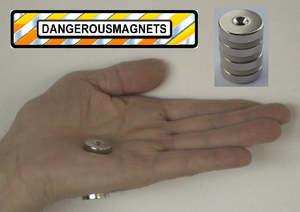 Cylinder Magnets: 20mm Dia x 5mm with 4mm hole  |  Pack of 4