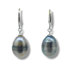 Classic Hook Earrings