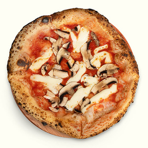 Products: Fungo - Dante's