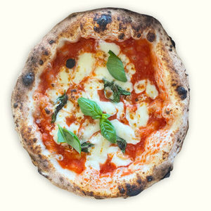 Products: Queen Margherita DOC - Dante's