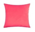 Watermelon Pink - Velvet Cushion darbyandgrey