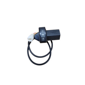 Components - E-Balance Bike: Charged Throttle assembly MK1 models