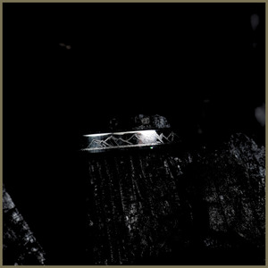 Frontpage: 4mm Polished Stainless Steel Ring