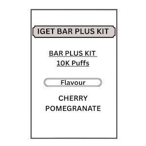 IGET 3.0 BAR PLUS KITS 10K PUFFS
