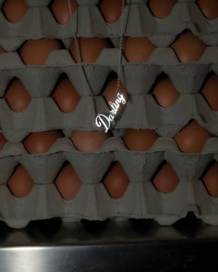 DARLING NECKLACE CURSIVE - Darling on Drake