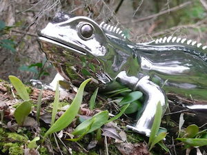 Products: Tuatara (SOLD) – Darren Wise Stainless Sculptor www.darrenwise.co.nz