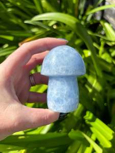 Mushrooms: Blue Calcite Mushroom B
