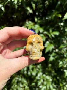 Skulls: Crazy Lace Agate Large Skull