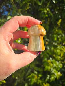 Carved Shapes Animals: Banded Calcite Mushroom A