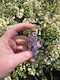 Amethyst Crystal Chip Bottle